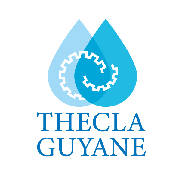 Thecla Guyane